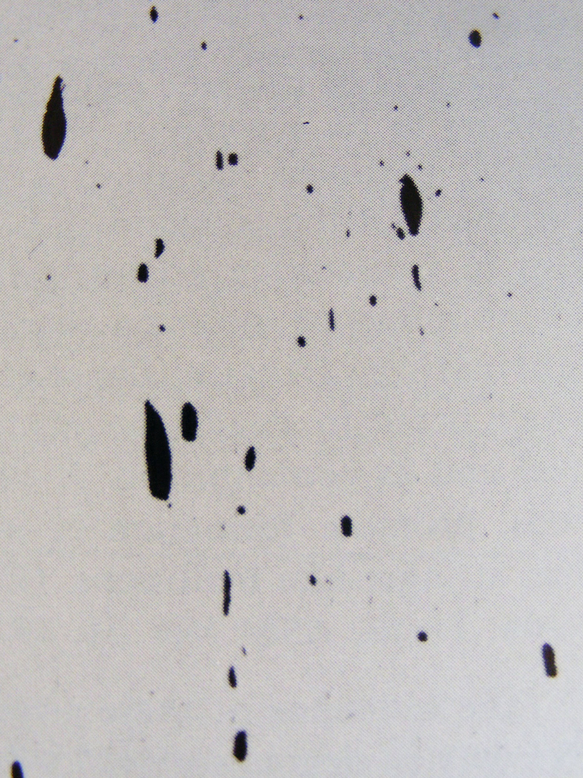 Manganese Sulfides
