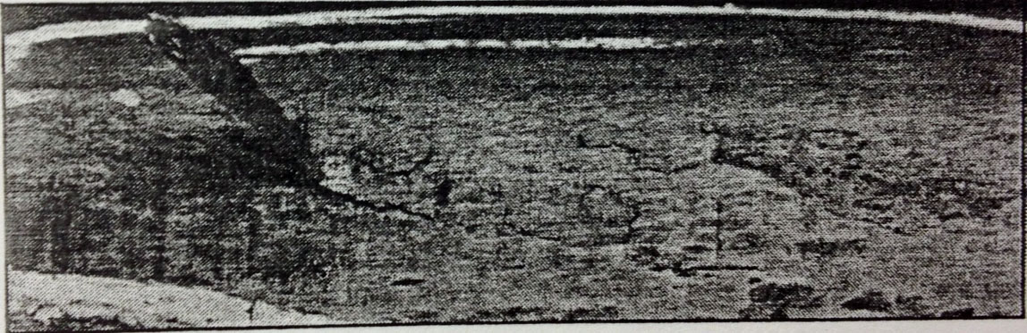 sliver1p13