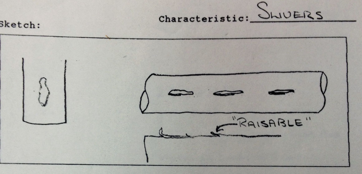 slivers lab notebook copy