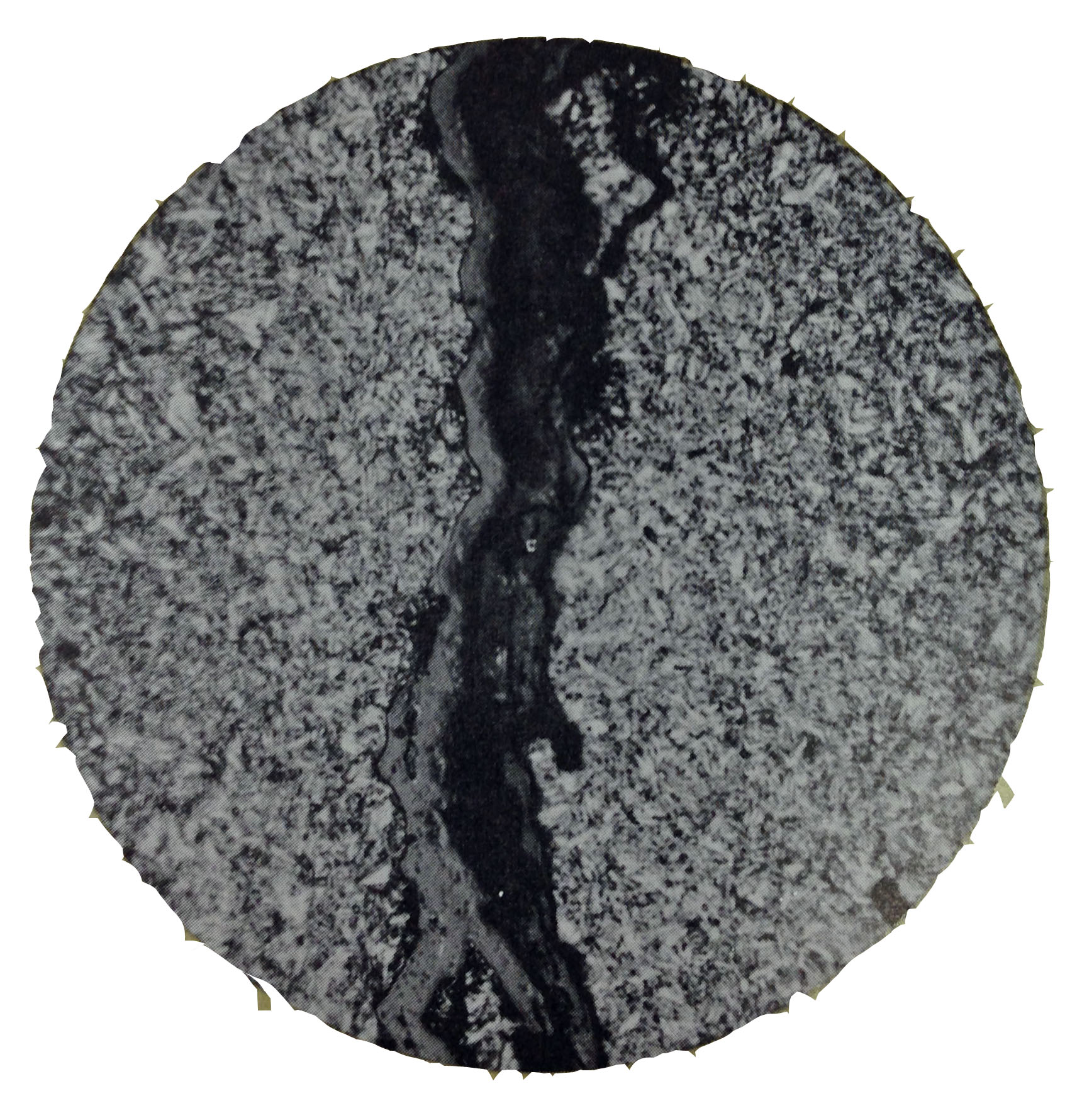 Scale within the quench crack tells us it was open before tempering.